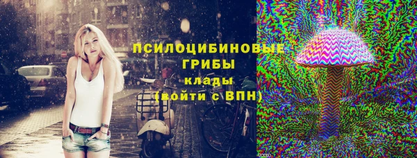 мяу мяу кристалл Няндома