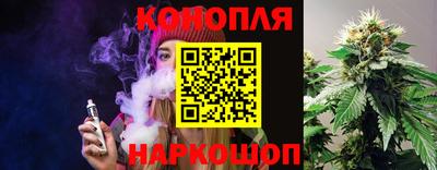 сатива Апшеронск