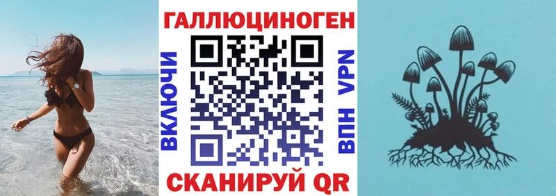 хочу   Домодедово  Псилоцибиновые грибы мицелий 