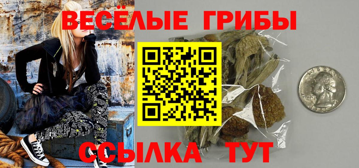 Домодедово  Псилоцибиновые грибы Cubensis  хочу   Вход с VPN 