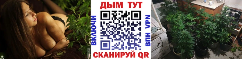 Бошки Шишки индика Домодедово